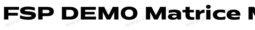 FSP DEMO Matrice M字体转换 FSP DEMO Matrice M字体转换